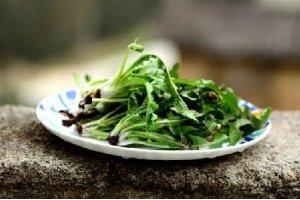 春季著名野菜大全，你都吃過多少種？